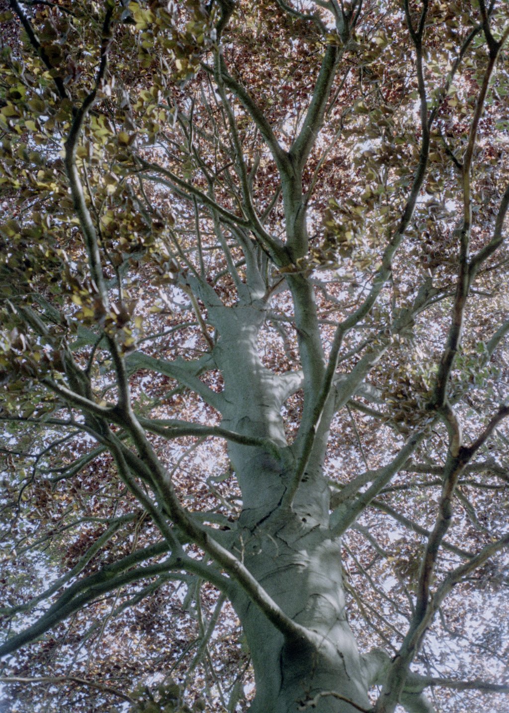 archive image