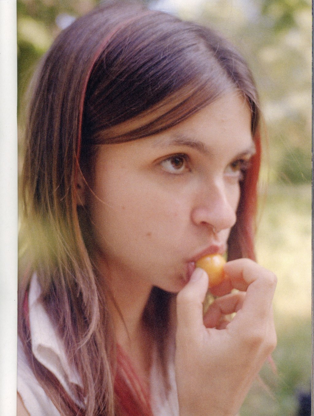 archive image