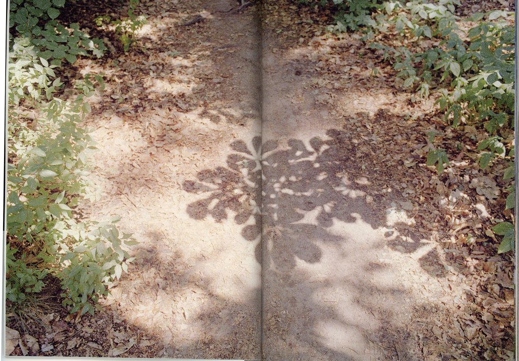 archive image
