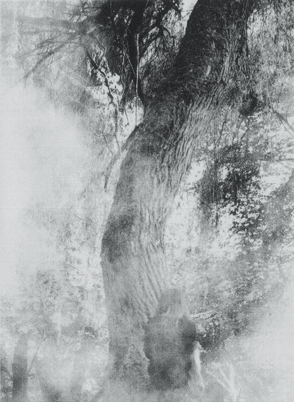 archive image